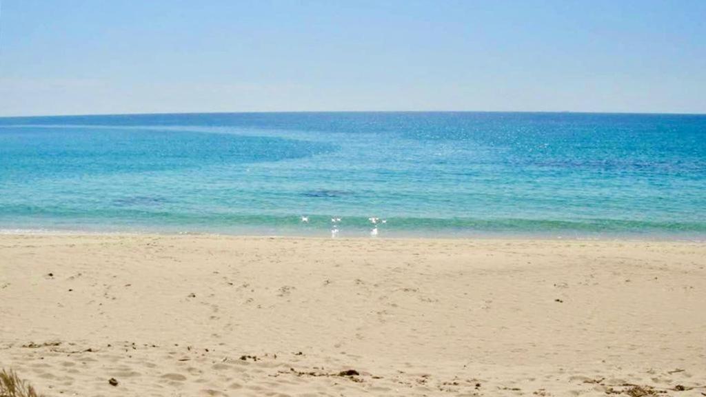 Beachfront House Geremeas Sardegna Daire Dış mekan fotoğraf