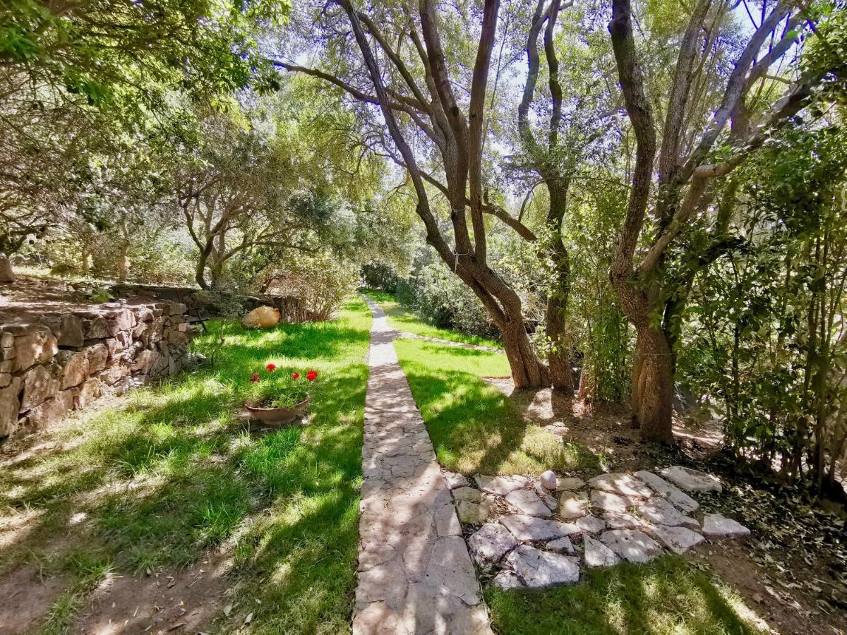 Beachfront House Geremeas Sardegna Daire Dış mekan fotoğraf