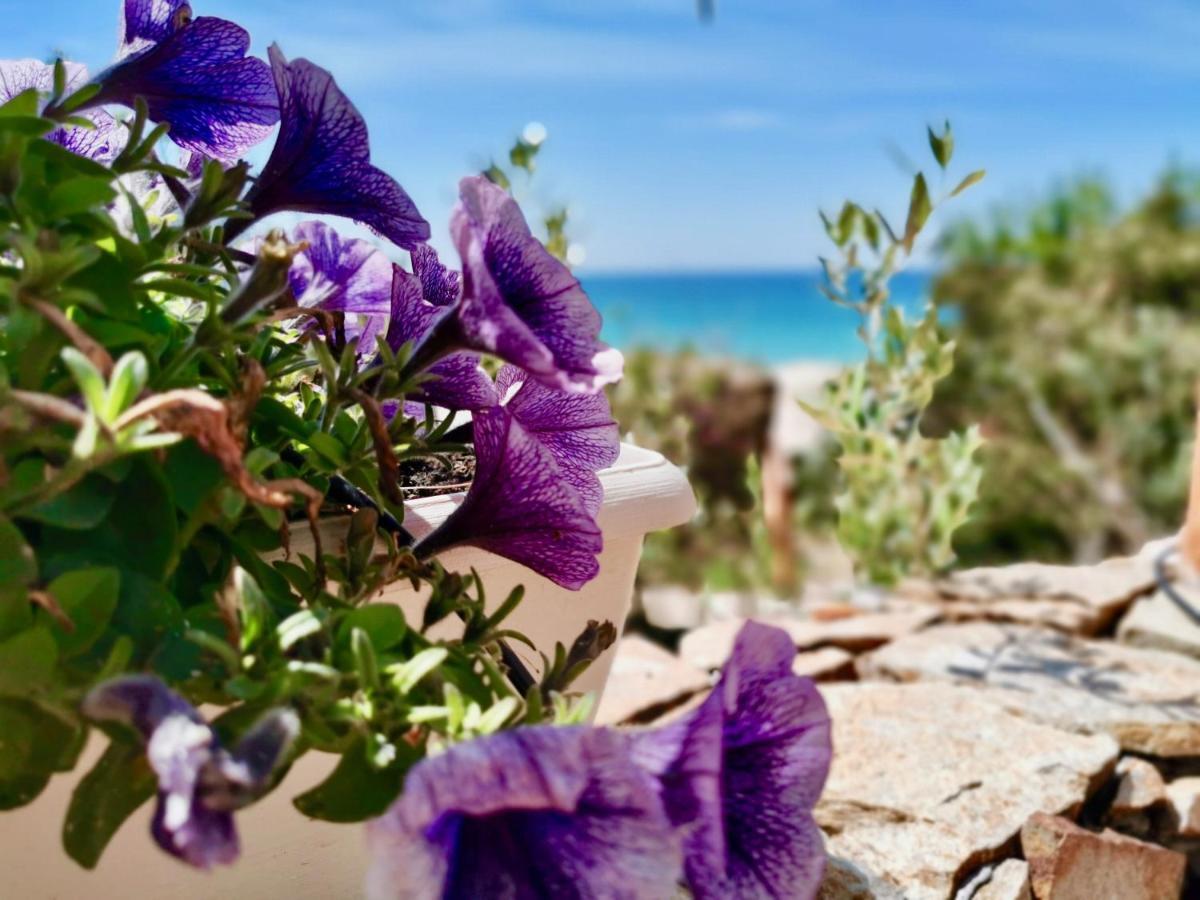 Beachfront House Geremeas Sardegna Daire Dış mekan fotoğraf